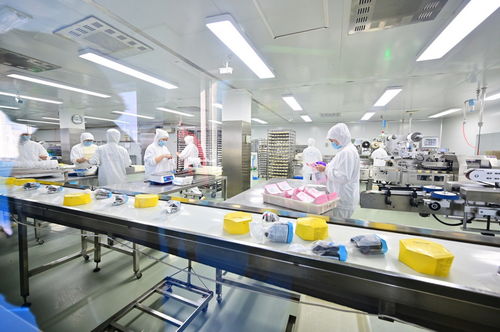 餐桌上的安全衛士 走進沈陽綠色工廠，揭秘食品產業的生產革命